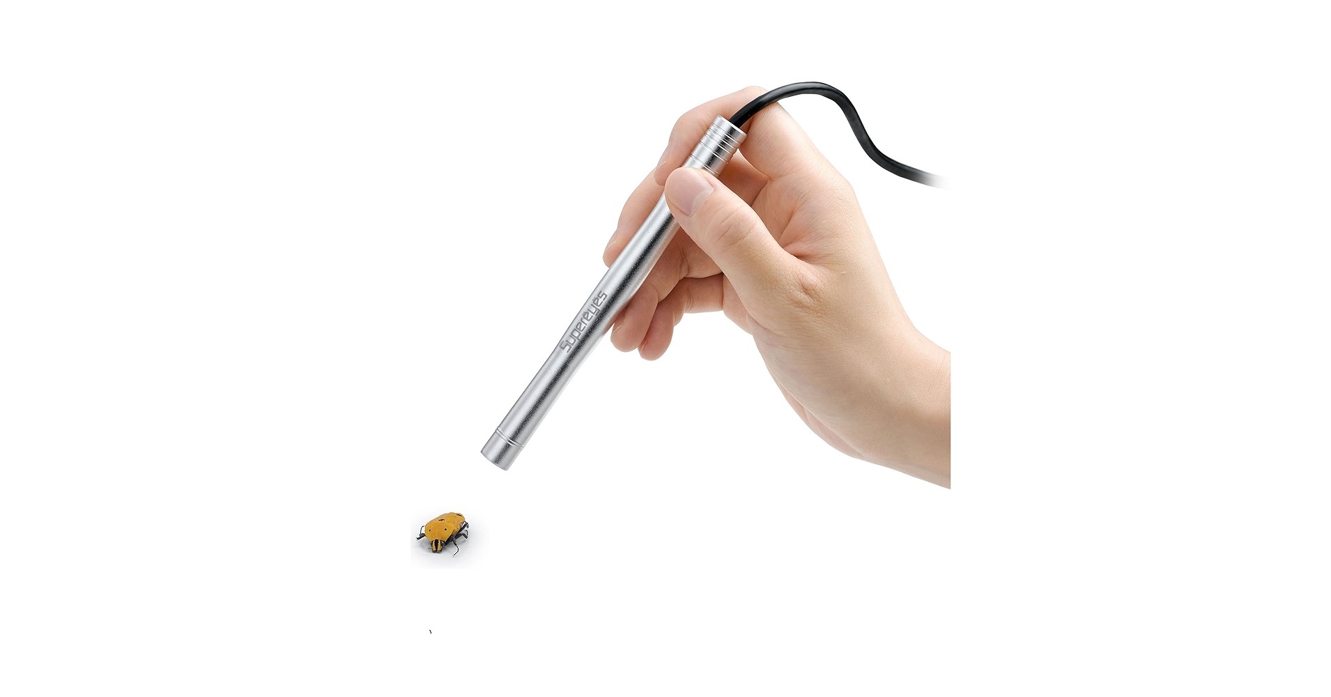 71rSg-P+9IL.jpg_BO30,255,255,